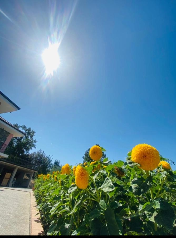 B&B Girasole Torraca Kültér fotó